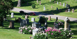 Elkins Funeral Home